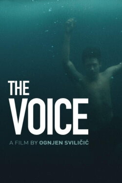 The Voice (2019)