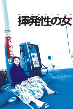 The Volatile Woman (2004) The Volatile Woman (2004)