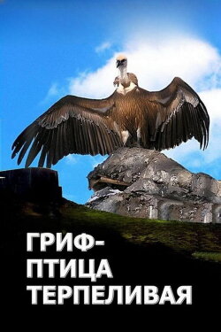The Vulture Is a Patient Bird (1991) The Vulture Is a Patient Bird (1991)