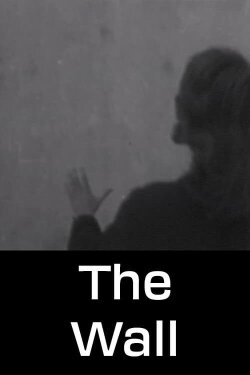 The Wall (1960)