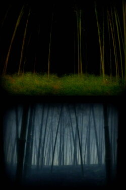 The Wandering Soul (2021)