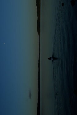 THE WATERS (2024) THE WATERS (2024)