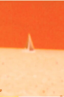 The Waves (2020)