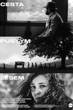 The Way Through the Bleak Woods (1997) The Way Through the Bleak Woods (1997)