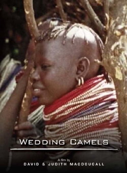 The Wedding Camels (1980) The Wedding Camels (1980)
