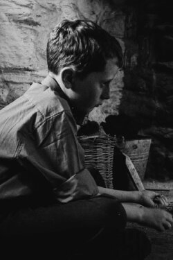 The Welfare of Tomás Ó Hallissy (2017) The Welfare of Tomás Ó Hallissy (2017)