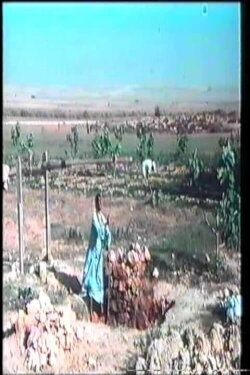 The Well (1982) The Well (1982)