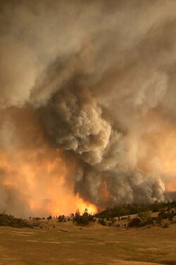 The West is Burning (2020) The West is Burning (2020)