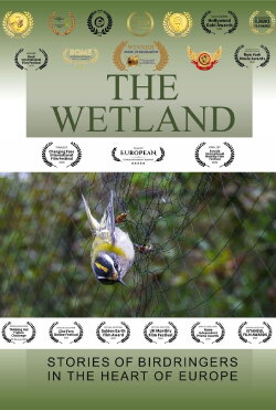 The Wetland (2020) The Wetland (2020)