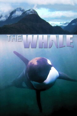 The Whale (2011) The Whale (2011)