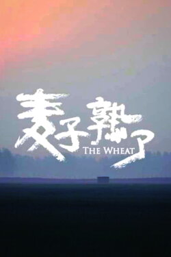 The Wheat (2021) The Wheat (2021)
