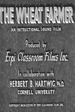 The Wheat Farmer (1938) The Wheat Farmer (1938)