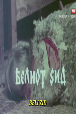 The White Wall (1978)