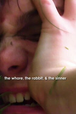 the whore, the rabbit, & the sinner (2020) the whore, the rabbit, & the sinner (2020)