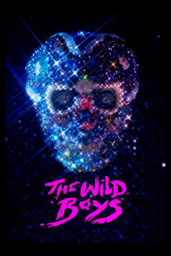The Wild Boys (2017) The Wild Boys (2017)