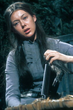 The Wild Duck (1971) The Wild Duck (1971)