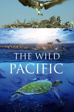 The Wild Pacific (2016) The Wild Pacific (2016)