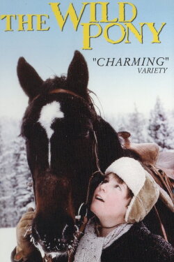 The Wild Pony (1983) The Wild Pony (1983)