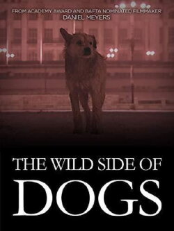 The Wild Side of Dogs (2019) The Wild Side of Dogs (2019)