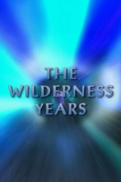The Wilderness Years (2010) The Wilderness Years (2010)