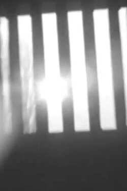 The Window Open Toward (1984)