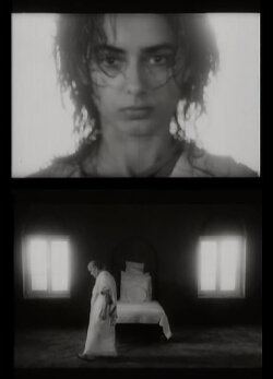 The Wisdom Tree (1985)