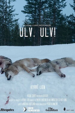 The Wolf Dividing Norway (2020) The Wolf Dividing Norway (2020)
