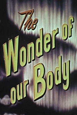 The Wonder Of Our Body (1958) The Wonder Of Our Body (1958)