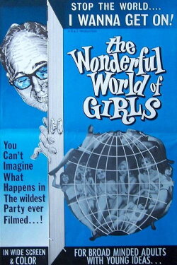 The Wonderful World of Girls (1965)