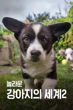 The Wonderful World of Puppies (2018) The Wonderful World of Puppies (2018)