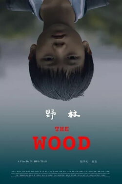 The Wood (2020)