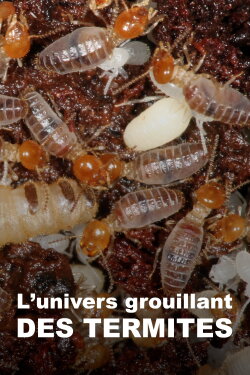 The World According to Termites (2018)