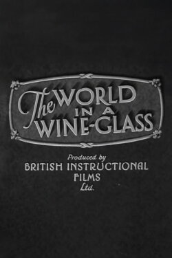 The World in a Wine-Glass (1931)