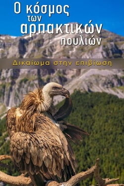 The World of Birds of Prey – Right to Survival (2024)