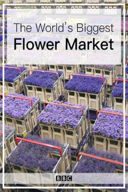 The World's Biggest Flower Market (2016) The World's Biggest Flower Market (2016)