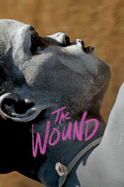 The Wound (2017) The Wound (2017)