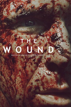 The Wound (2013)