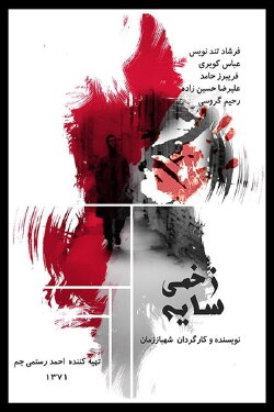 The Wounded Shadow (2001)