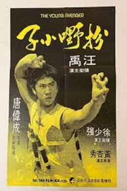 The Young Avenger (1980) The Young Avenger (1980)
