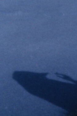 Their Bird (2012)