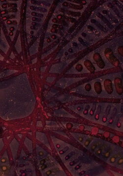 Theoria (2024) Theoria (2024)