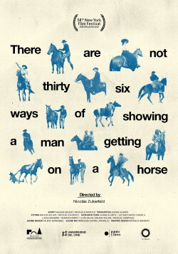 There Are Not Thirty-Six Ways of Showing a Man Getting on a Horse (2020)
