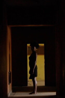 There Is No Light Inside the Mirror (2020) There Is No Light Inside the Mirror (2020)