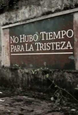 There was no time for sadness (2013) There was no time for sadness (2013)
