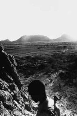 They Turned Our Desert Into Fire (2007) They Turned Our Desert Into Fire (2007)
