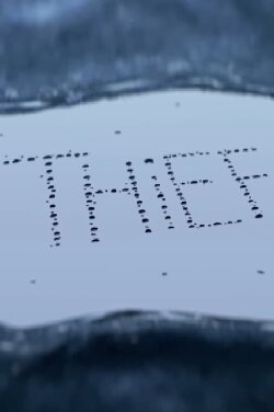 Thief (2021)