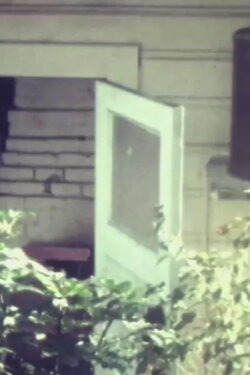Thorndon (1975)
