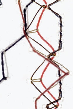 Thread (2023)