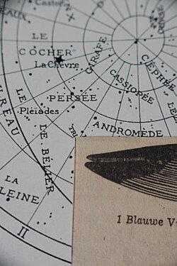 Three Circles with(in) the Whale (2022) Three Circles with(in) the Whale (2022)