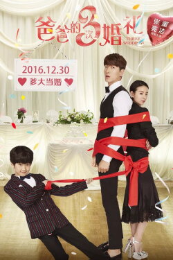 Three Weddings (2016) Three Weddings (2016)